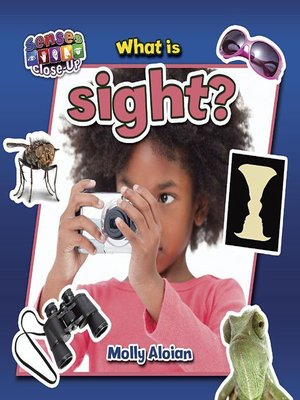 cover image of What is sight?